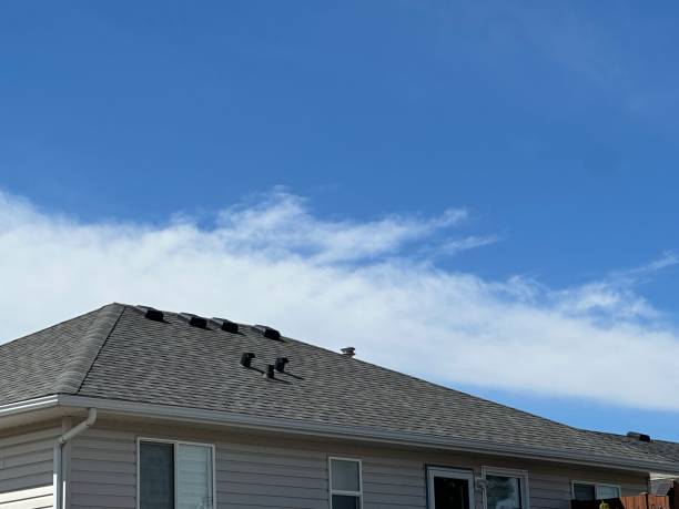 Best Roof Coating and Sealing  in West End, NY