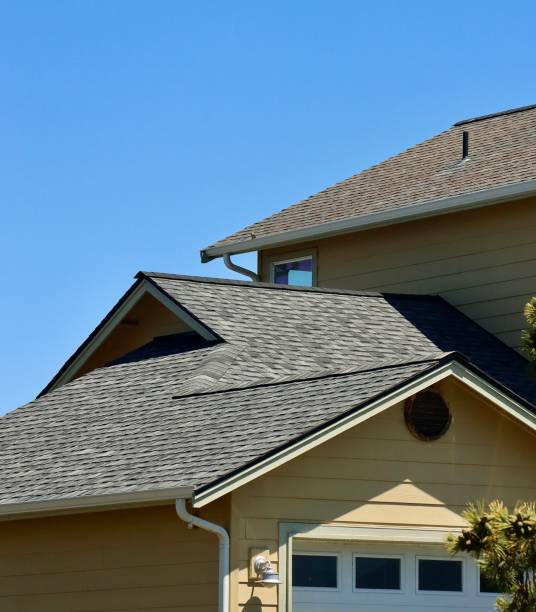 Best Roof Moss and Algae Removal  in West End, NY